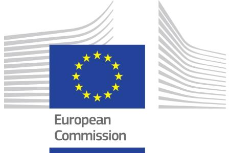 Vertegenwoordiging van de Europese Commissie